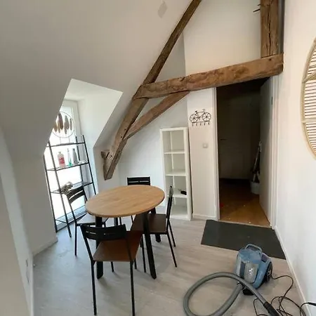 T3 Charmant Centre Appartement